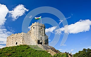 Cardiff Castle photo