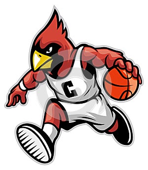 Cardinal as a basketball mascot