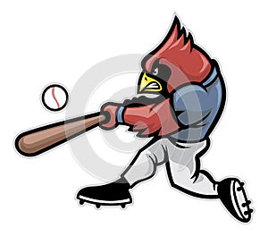 Cardinal baseball photo