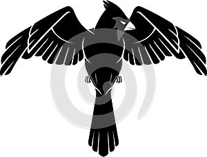 Cardinal Bird Black and Grey