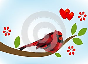 Cardinal bird on branch tree image vector template