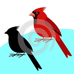 Cardinal bird , vector illustration , flat style, black silhouette