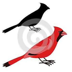 cardinal bird, vector illustration ,flat style ,profile