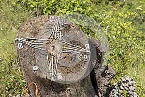 Cardinal points indicator made by hand on the trunk of a cut tree