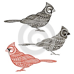 Cardinal. Set of birds on white background. Hand draw