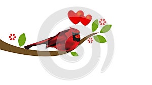 Cardinal on tree. Love heart valentines concept footage video clip