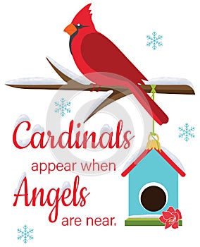 Cardinlas Appear When Angels Are Near Perched Bird and Birdhouse Illustration with Clipping Path on White