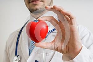 Cardiologist doctor holds heart model in hand