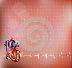 Cardiology background