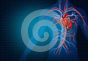 Cardiology And Cardiovascular Heart Concept