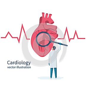 Cardiology concept. Cardiologist doctor holds magnifying glass in hands