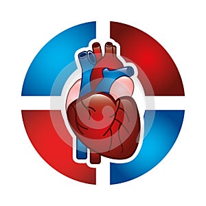 Cardiology design