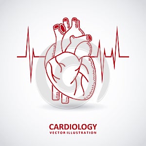 Cardiology design