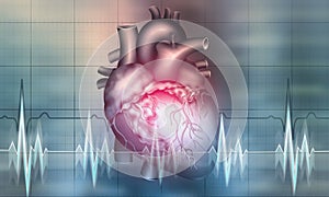 Cardiology. Healthy heart concept. Transplantology of internal organs. Heartbeat, Pulse Monitor