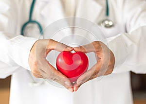 Cardiovascular disease doctor or cardiologist holding red heart in clinic or hospital exam room office for csr professional