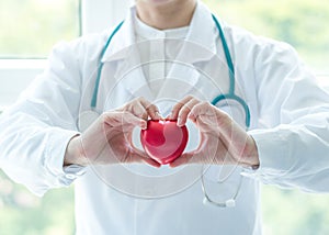 Cardiovascular disease doctor or cardiologist holding red heart in clinic or hospital exam room office for professional medical