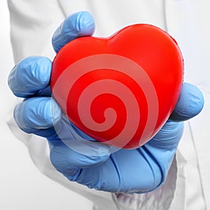 Cardiovascular health photo