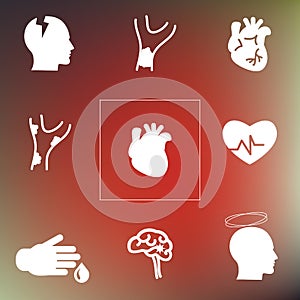 Cardiovascular system back