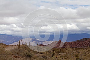 Cardon cactus at the Los Cardones National Park, Argentina photo