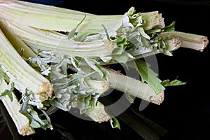 Cardoon