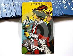 The Fool Tarot Card Begginins Rebirth