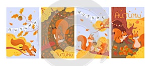 Cards with forest squirrel. Cartoon squirrels in autumn. Wild animal characters sorting and storing food, eating nuts