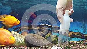 Care of the Aquarium, Cleaning the Soil with a Siphon. Aquarium Cleaning. Cleaning Gravel in a Freshwater Aquarium.