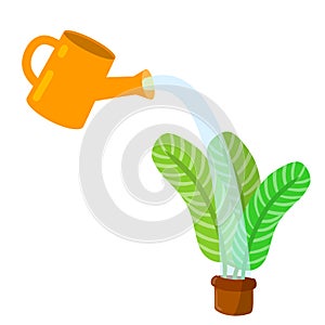 Care for house plant. Yellow watering can with water.