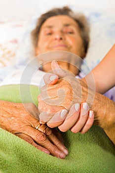 Care Love and Trust for Elders