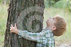 Care of nature - little boy embrace a tree