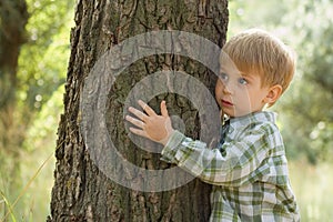 Care for nature - little boy embrace tree