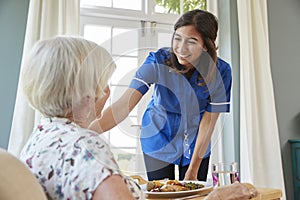 Care nurse serving dinner to a senior woman at home
