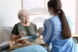 Care worker serving dinner for elderly woman in hospice