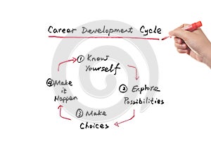 Career development cycle concept
