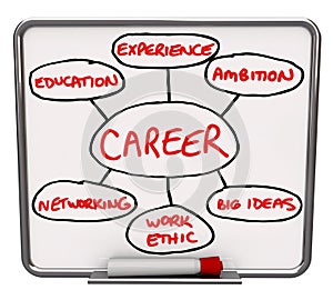 Career Diagram Dry Erase Board How to Succeed in Job