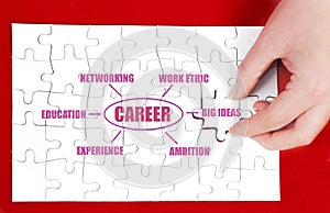 Career Diagram Dry Erase Board How to Succeed in Job