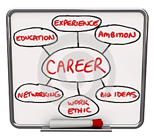 Career Diagram Dry Erase Board How to Succeed in Job photo