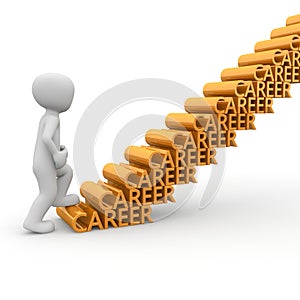 The career ladder