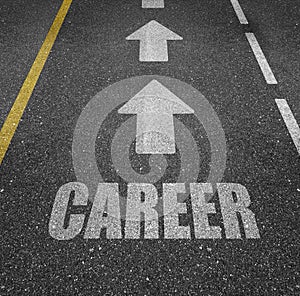 Career path