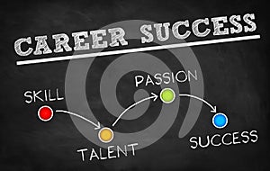 Career Success - Differentiating between Passion and Skill