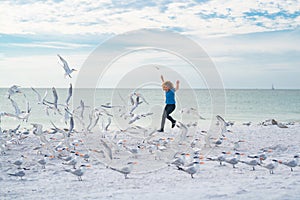 Carefree child. Child run on the seagulls on the beach, summer time. Cute little boy chasing birds near sea on summer