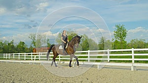 Carefree girl training her strong stallion to trot for a dressage competition.