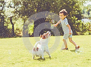 Carefree kid and pet dog playing with flying soap bubbles at sunny summer day