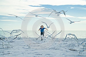 Carefree kid running, chasing birds. Child and seagull on the beach. Amazed boy running on the beach with his hands