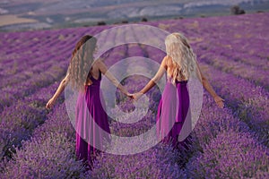Carefree two women hold hands enjoying sunset in lavender field. Harmony. Back view of Attractive blond and brunette with long