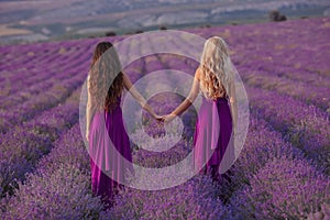 Carefree two women hold hands enjoying sunset in lavender field. Harmony. Back view of Attractive blond and brunette with long