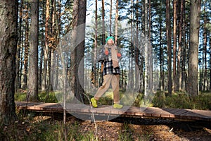 Carefree woman middle aged tourist walking resting on eco trail in Scandinavian pine forest.