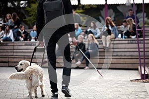 Careful guide dog helping blind man in city
