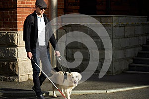 Careful guide dog helping blind man in city