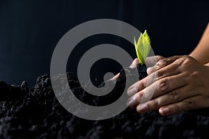 Carefully nurturing a recycled tree by hand, sustainable living and environmental consciousness. Concept of planting in soil